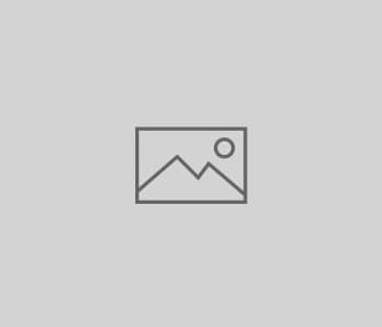 7th annual Kite Crossing, March 4-6